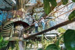 ذا جرين بلانيت: غابة استوائية في دبي تنبض بالحياة!